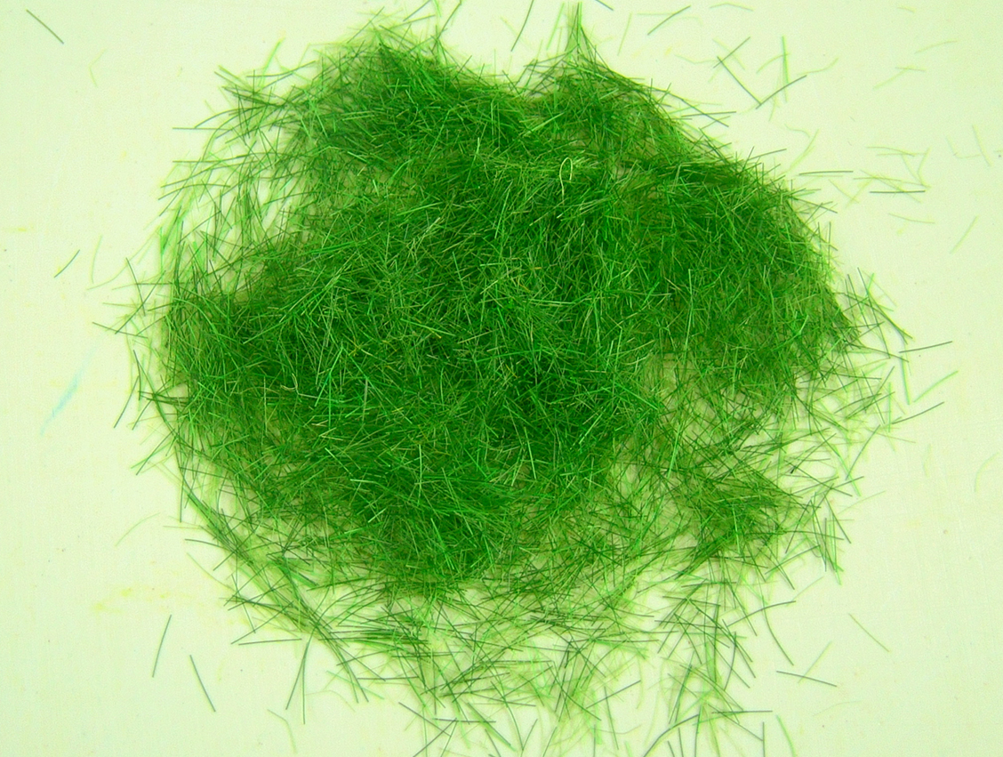 Grass